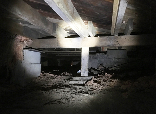 Crawl Space Review and Inspection