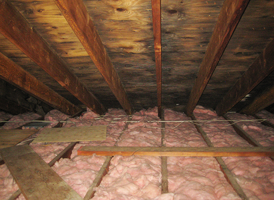 Attic Inspection